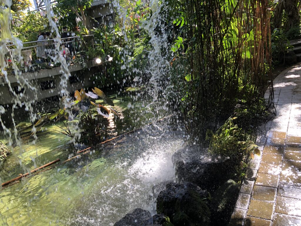 夢の島熱帯植物園の滝
